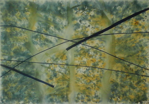 Thumbnail Placeholder